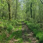 Experience Insolite - La Tiny De Perrine Et Julien Apartman Gedinne