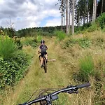 Apartman Experience Insolite - La Tiny De Perrine Et Julien Gedinne