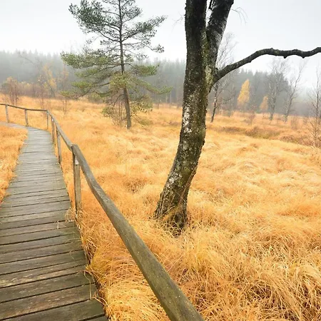Appartement Experience Insolite - La Tiny De Perrine Et Julien