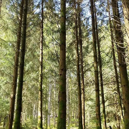 Experience Insolite - La Tiny De Perrine Et Julien Apartmán *