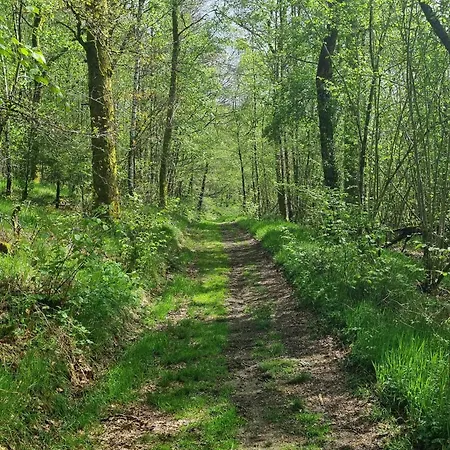 Experience Insolite - La Tiny De Perrine Et Julien Apartament Gedinne