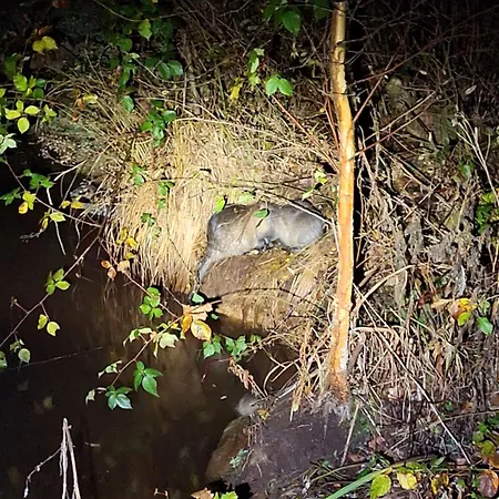 Experience Insolite - La Tiny De Perrine Et Julien Gedinne