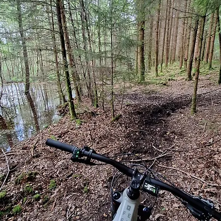 Experience Insolite - La Tiny De Perrine Et Julien Gedinne