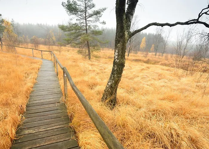 Appartement Experience Insolite - La Tiny De Perrine Et Julien