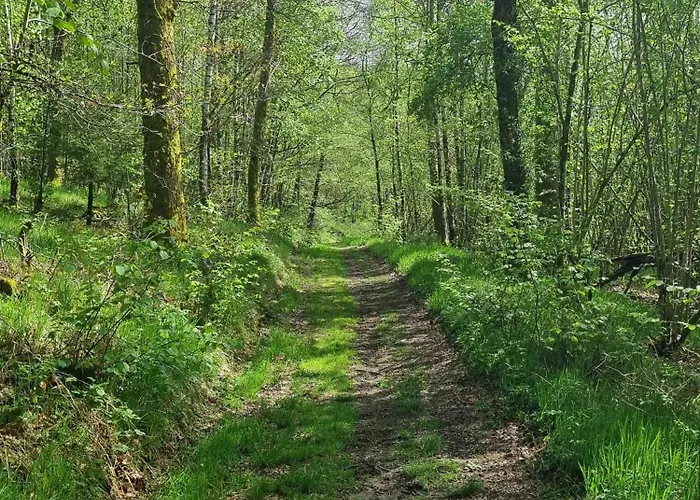 Experience Insolite - La Tiny De Perrine Et Julien Appartement Gedinne