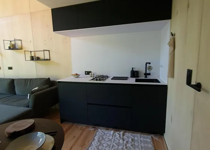 Appartement Experience Insolite - La Tiny De Perrine Et Julien Gedinne
