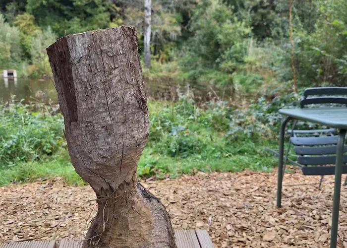 Appartement Experience Insolite - La Tiny De Perrine Et Julien