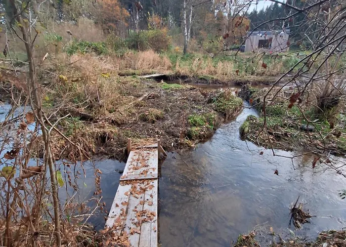 Experience Insolite - La Tiny De Perrine Et Julien Appartement Gedinne