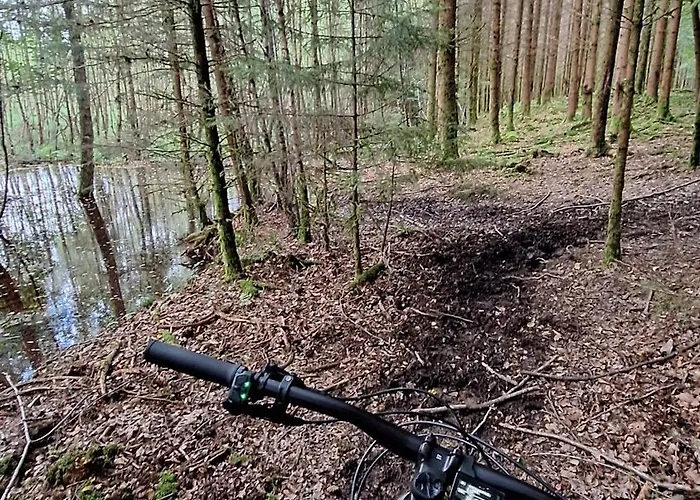 Experience Insolite - La Tiny De Perrine Et Julien Gedinne