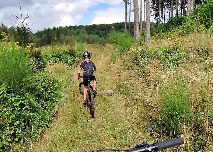 Appartement Experience Insolite - La Tiny De Perrine Et Julien Gedinne
